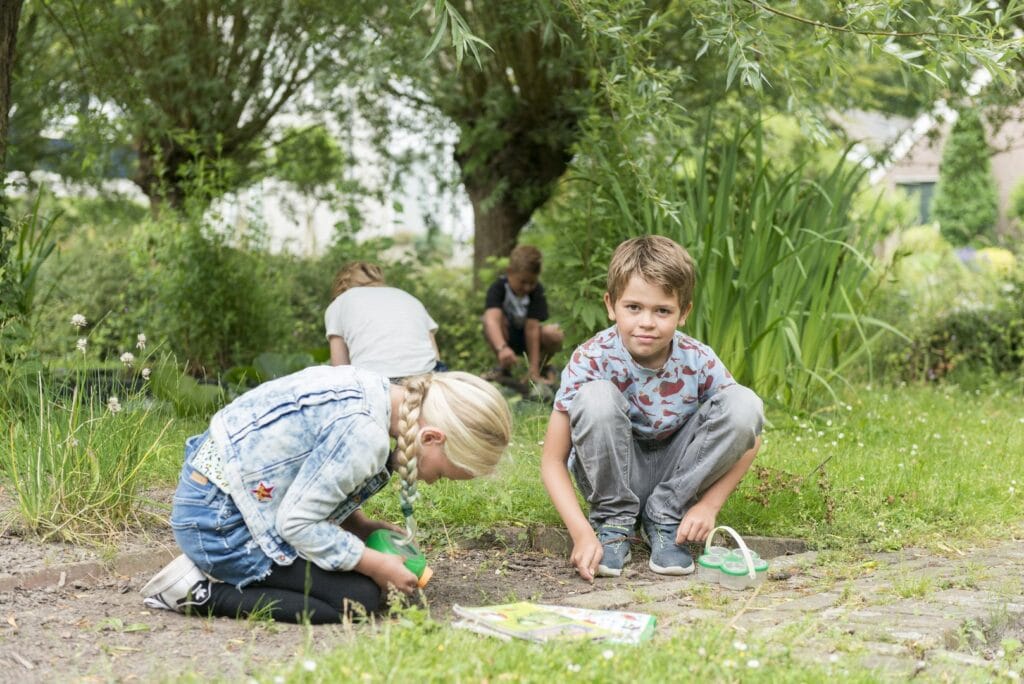 Leraar stamgroep 5-6